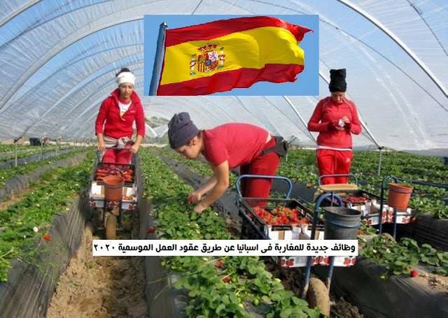 العمل الموسمي في إسبانيا