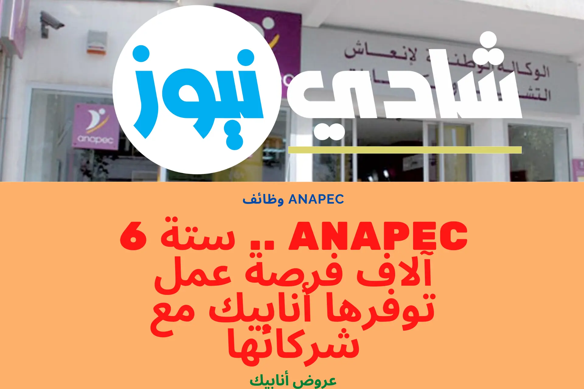 ANAPEC .. ستة 6 آلاف فرصة عمل توفرها أنابيك مع شركائها